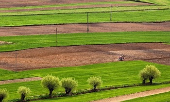Jak stworzyć zrównoważony biznes rolniczy