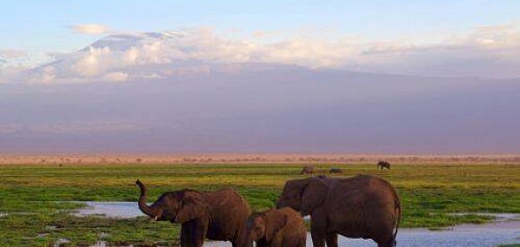 Wycieczki do Afryki dla żądnych przygód podróżników